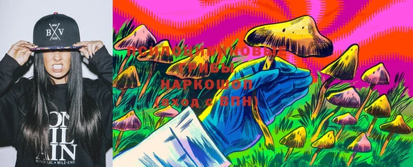 мет Переславль-Залесский