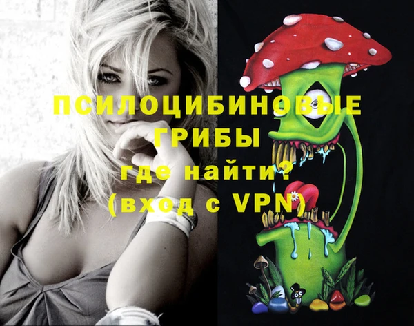 дмт Покачи