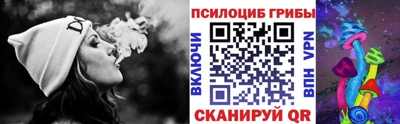 где можно купить наркотик  Нижние Серги  Галлюциногенные грибы Psilocybine cubensis 
